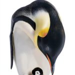 Where Is the North Pole? A Penguin Workshop Book-0
